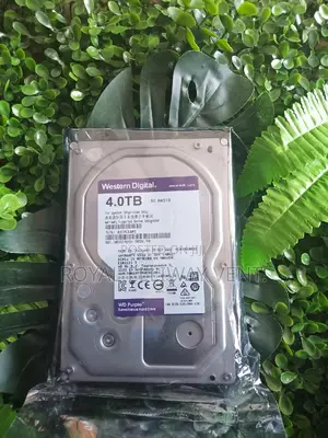 4.0tb Surveillance HDD