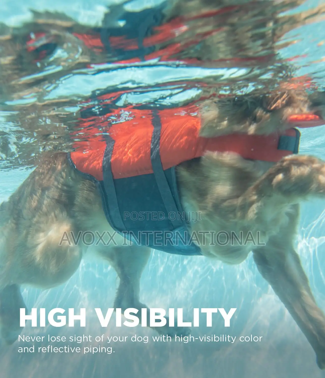 Outward Hound Granby Splash Orange Dog Life Jacket, 21"-27 "