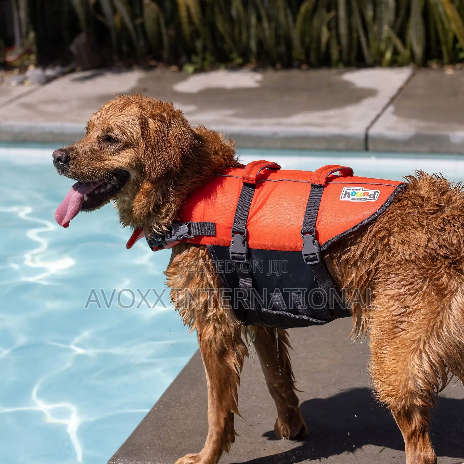Outward Hound Granby Splash Orange Dog Life Jacket, 21"-27 "