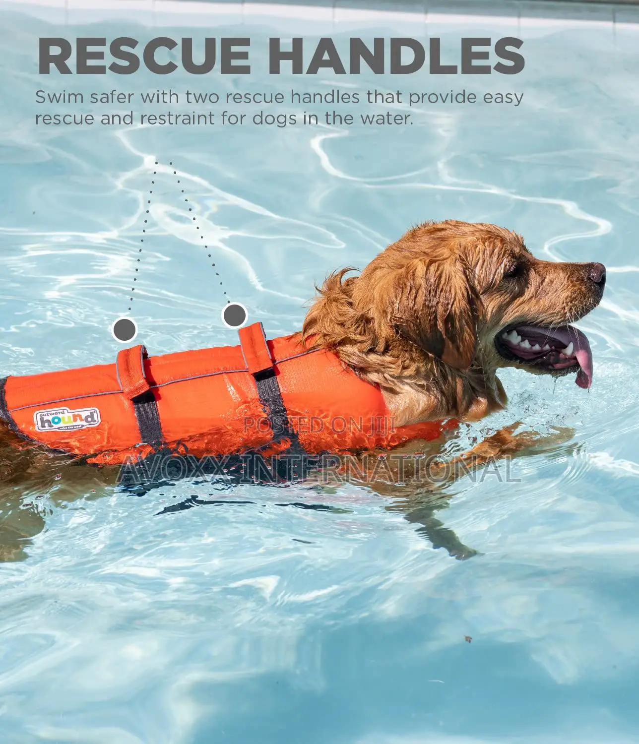Outward Hound Granby Splash Orange Dog Life Jacket, 21"-27 "