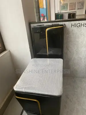 Black and Gold Water Closet