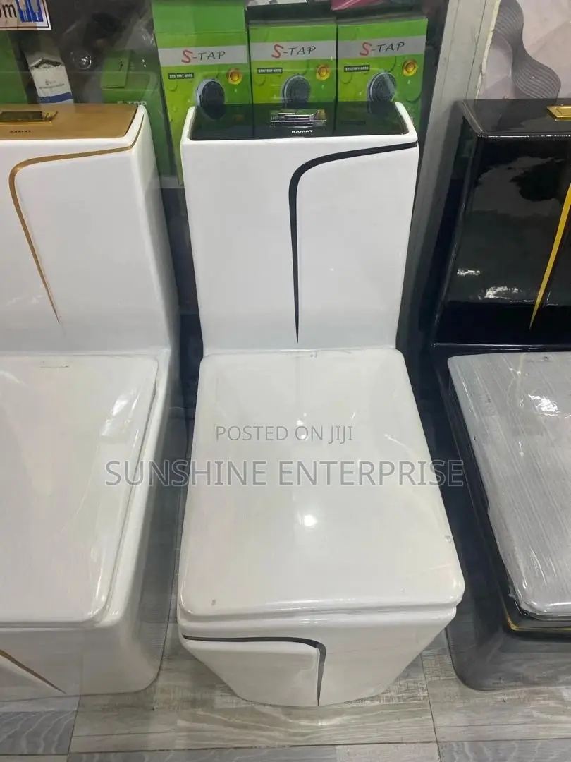 Luxury White And Gold Water Closet