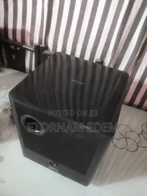Double Magnet Philips Passive Woofer