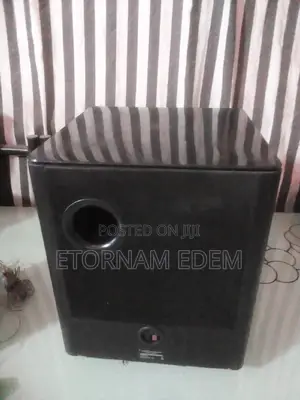Double Magnet Philips Passive Woofer
