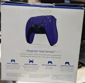 PS5 Controllers