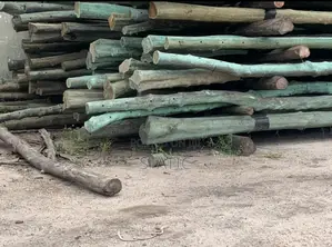 Standard Electricity and Network Service Poles Forsale