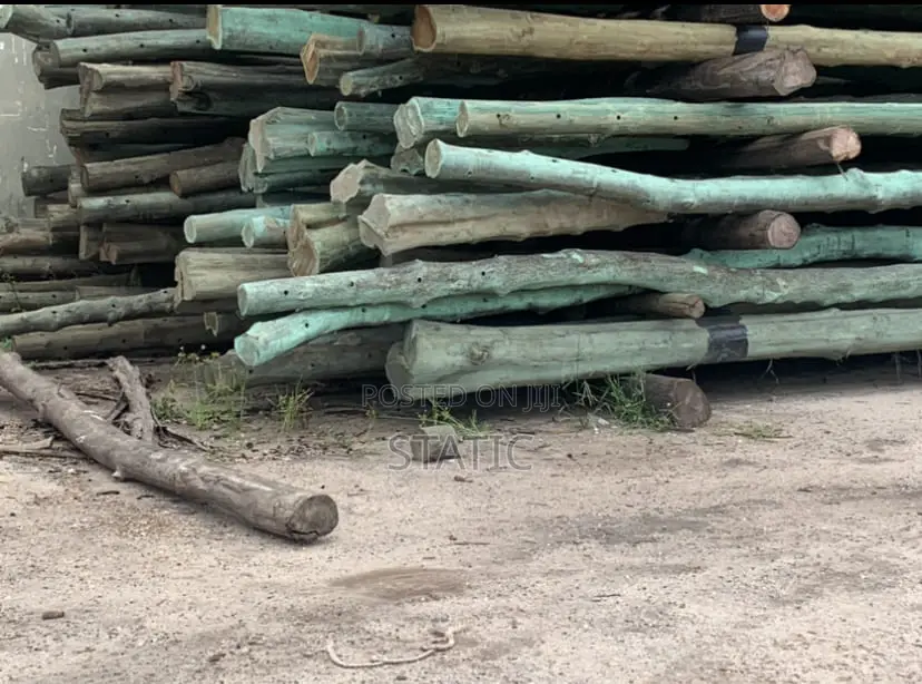 Standard Electricity and Network Service Poles Forsale