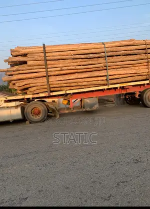 Standard Electricity and Network Service Poles Forsale