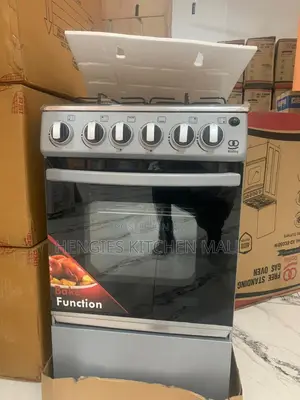 Auto Ignition Gas Cooker (Oven and Grill)