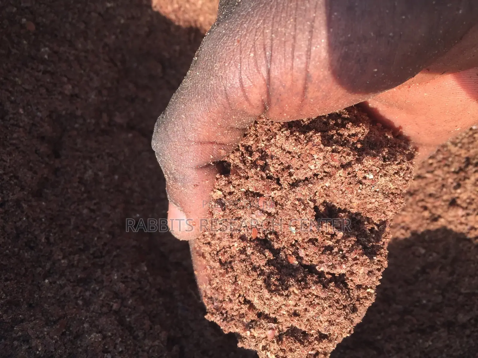 Fresh/Neat Groundnut Chuff for All Animal Feed(20kg)