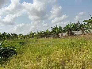 Safe Land to Buy With Land Title