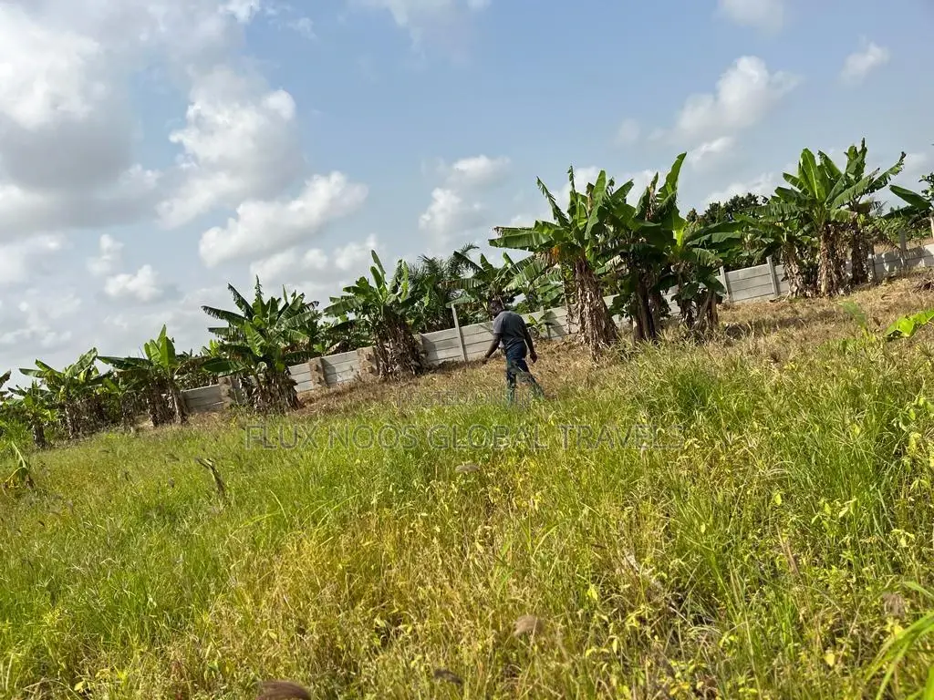Safe Land to Buy With Land Title