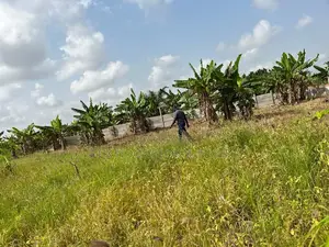 Safe Land to Buy With Land Title