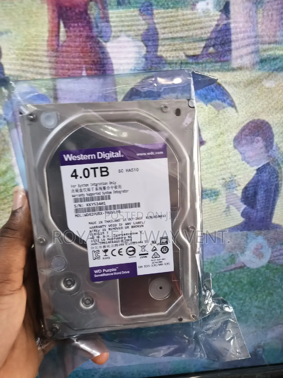 4.0tb Hard Disk Drive for CCTV Systems