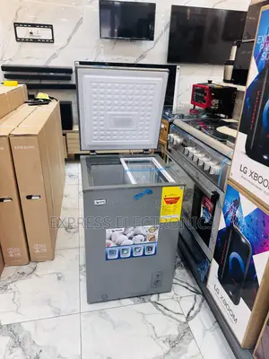 100L Chest Cool and Affordable Pearl Grey Color