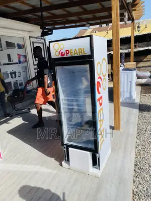 Quality Yet Affordable Pearl PVC-316 1 Door Display Fridge