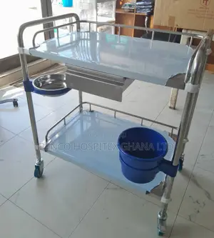 Stainless Trolley 2 Steps With Drawer