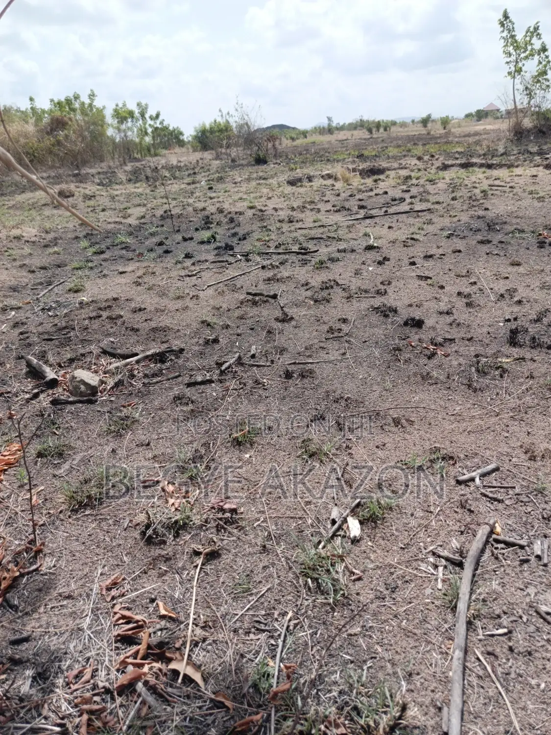 A Title Land for Sale at Dodowa-Ayikuma