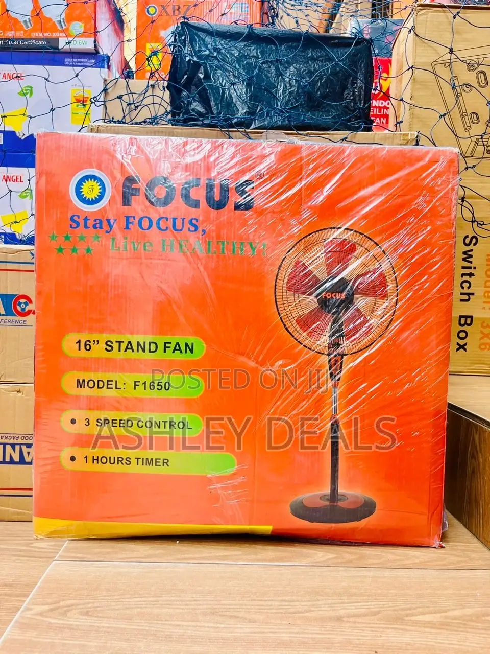 Focus Standing Fan