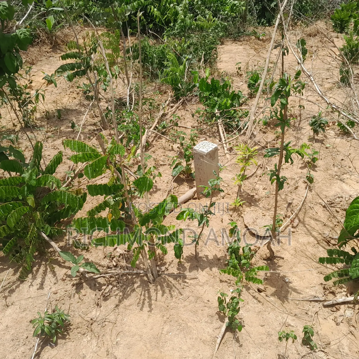 Plot for Sale at Queen of Peace