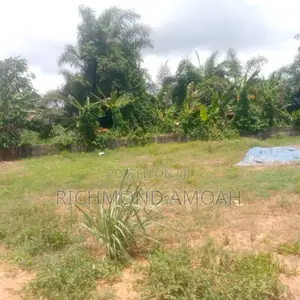 Half Plot for Sale at Nkroful _Katen Junction