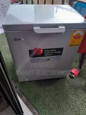Fast Freezing Freezing 147L Freezer Freezing Chest Freezer
