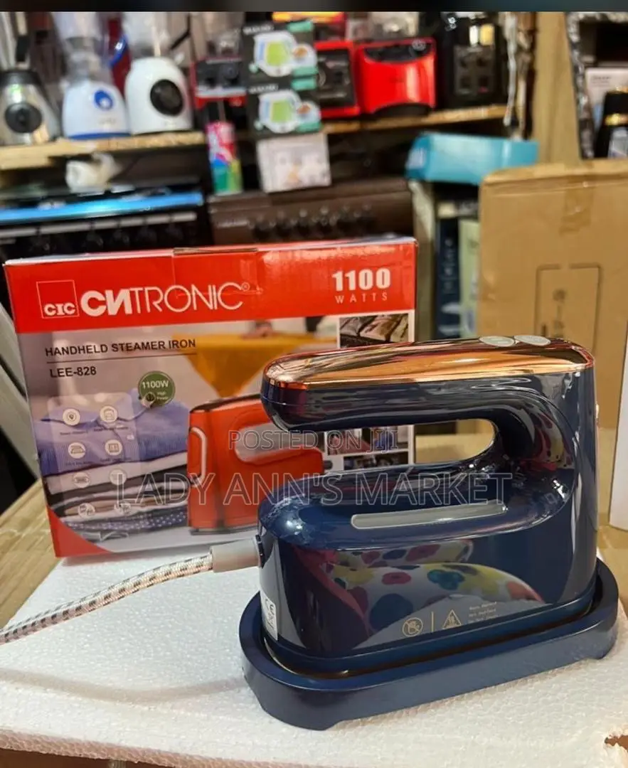 Electric Steamer Iron