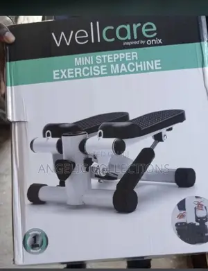Well Care Mini Stepper Machine