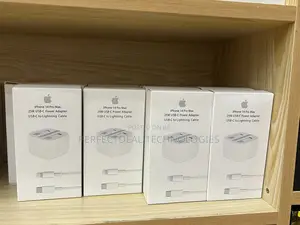Apple iPhone Charger (Original)