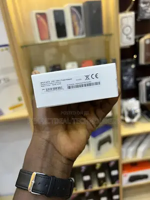Apple iPhone Charger (Original)