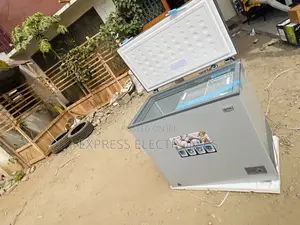 Grey Color Best Chest Freezer Single Door 200L Pearl