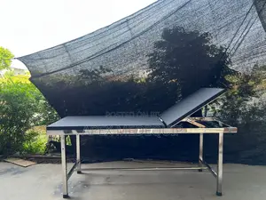 Examination Bed