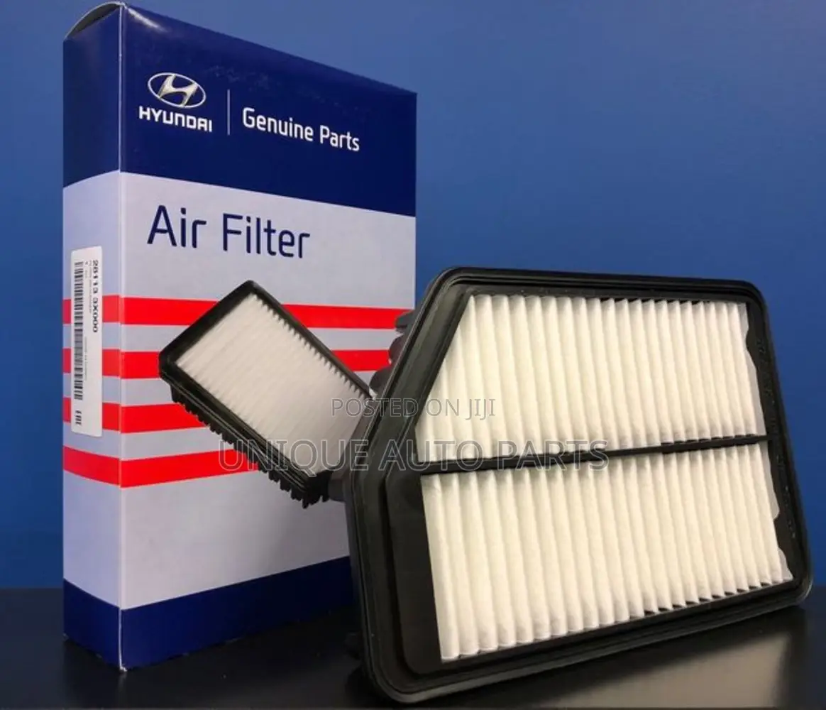 Hyundai 28113-3x000 Air Cleaner Filter