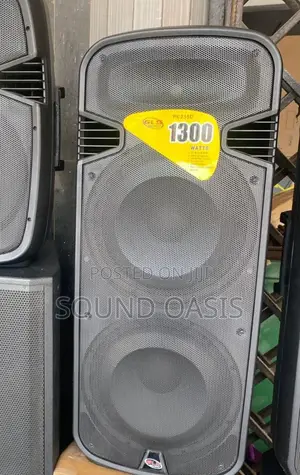 GLS 15"×2 Rechargeable Bluetooth Speaker With Two Microphone