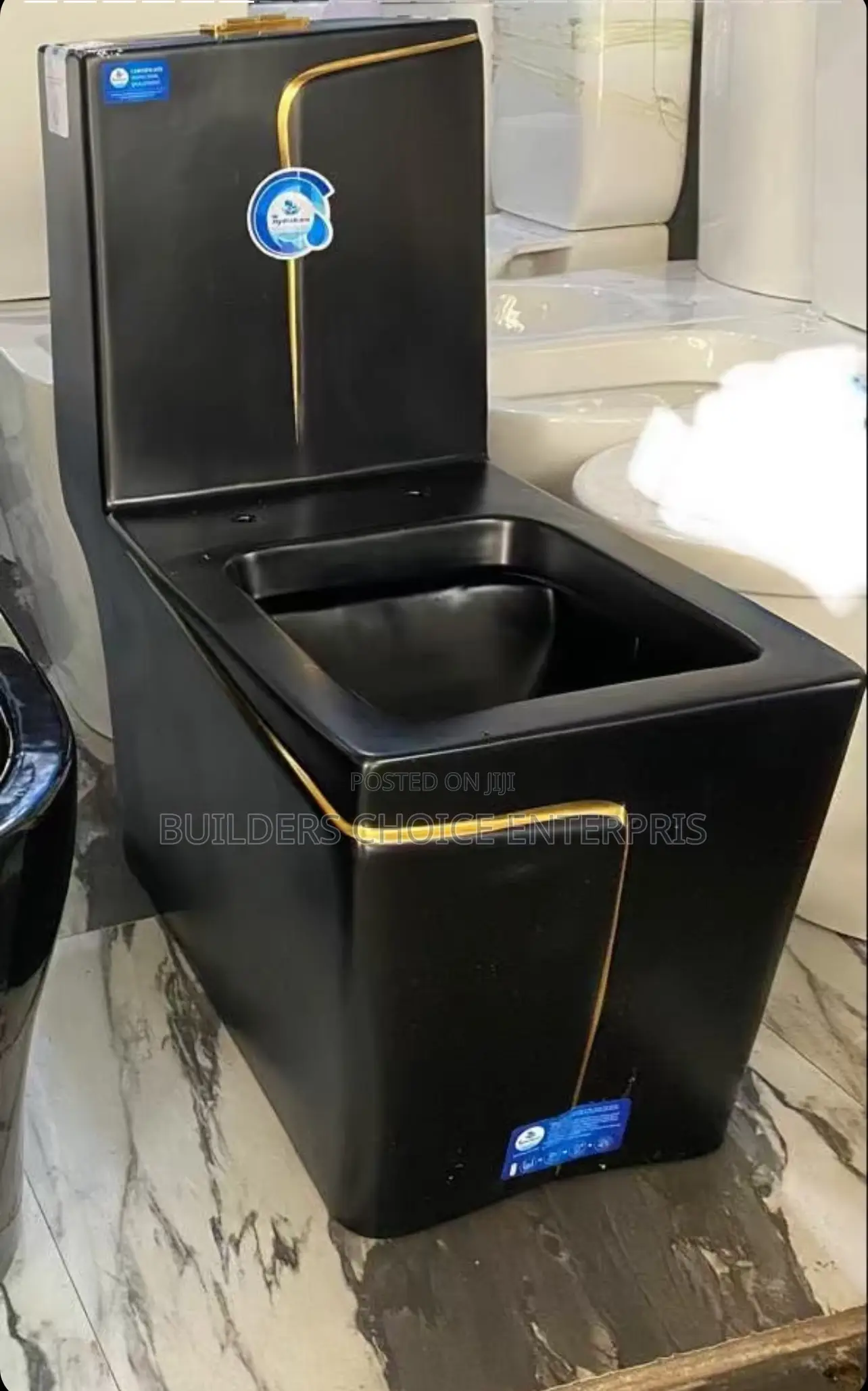 Matte Black Designed Water Closet