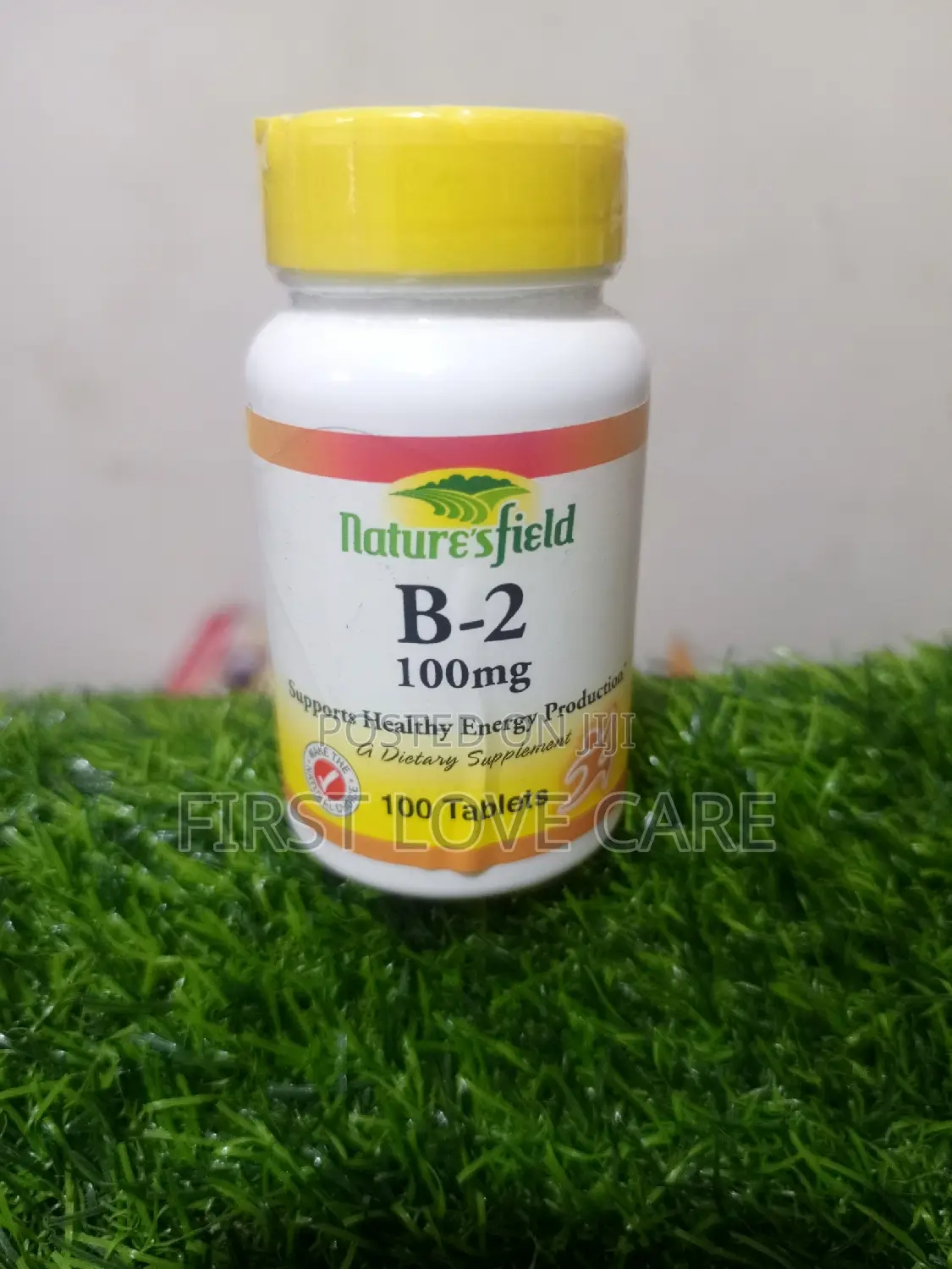 Nature's Field B-2 (Riboflavin) 100mg
