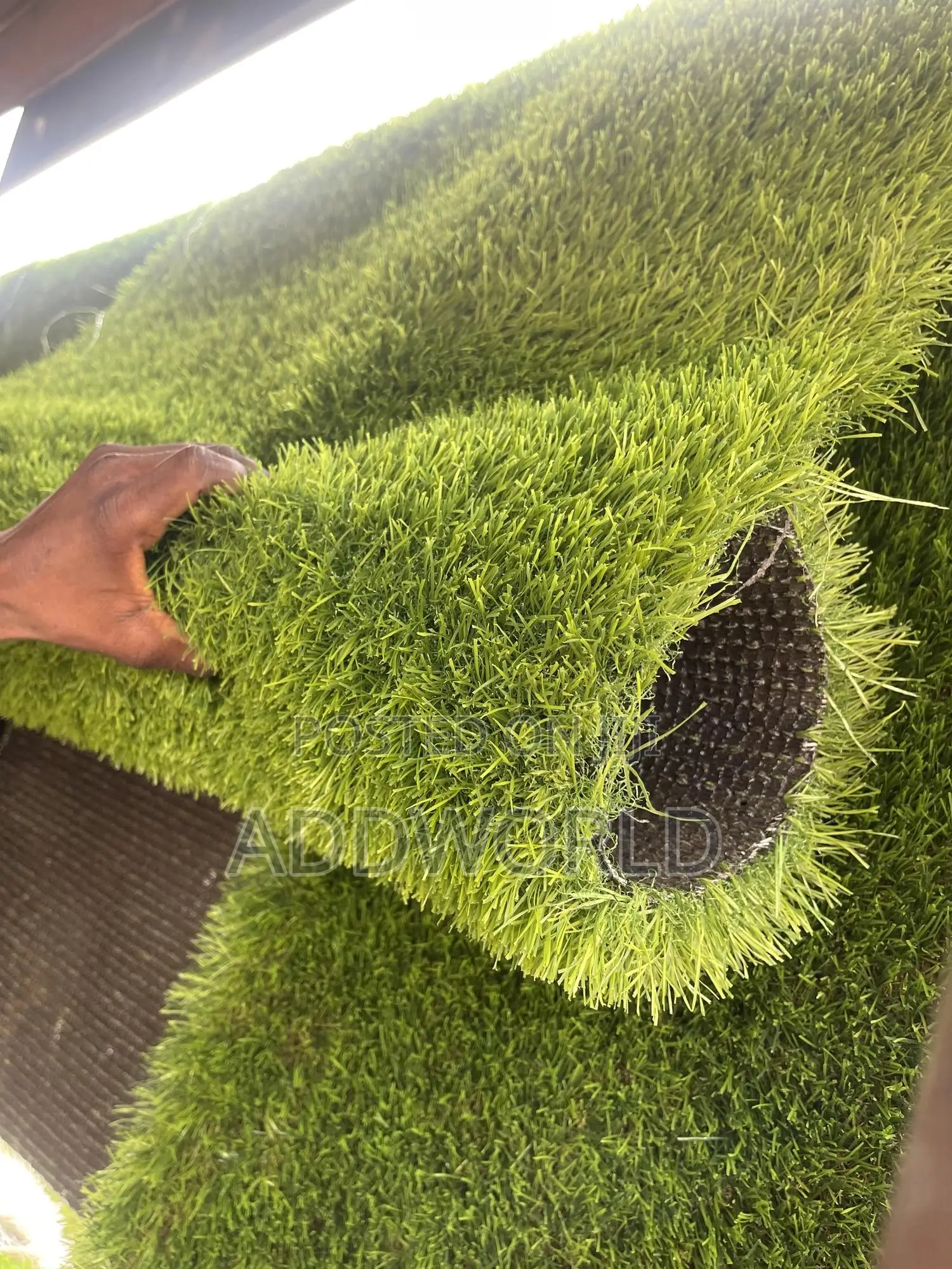 Original Premium Green Grass 50mm Thickness 250gh Per SQM