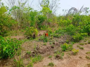 10 Acres of Land at Tema