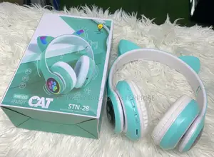 Kids Cat Headset