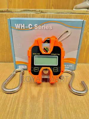 Crane Scale 250kg