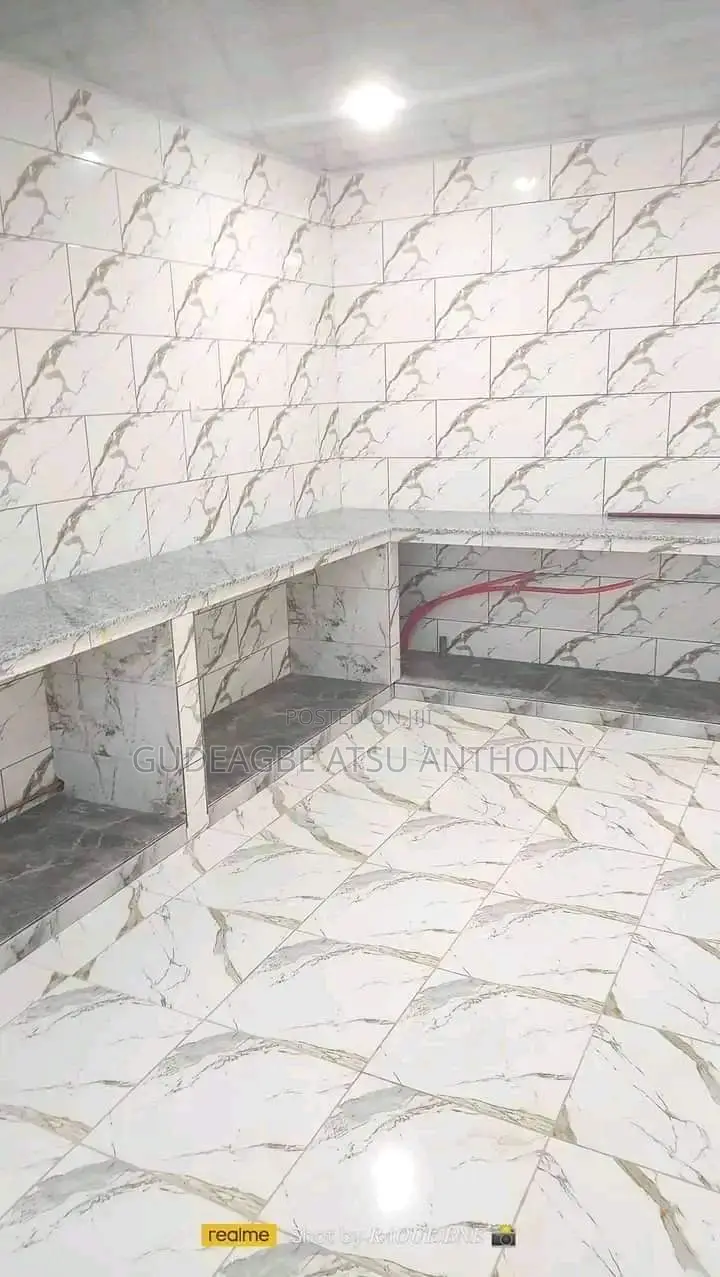 Professional Tiler