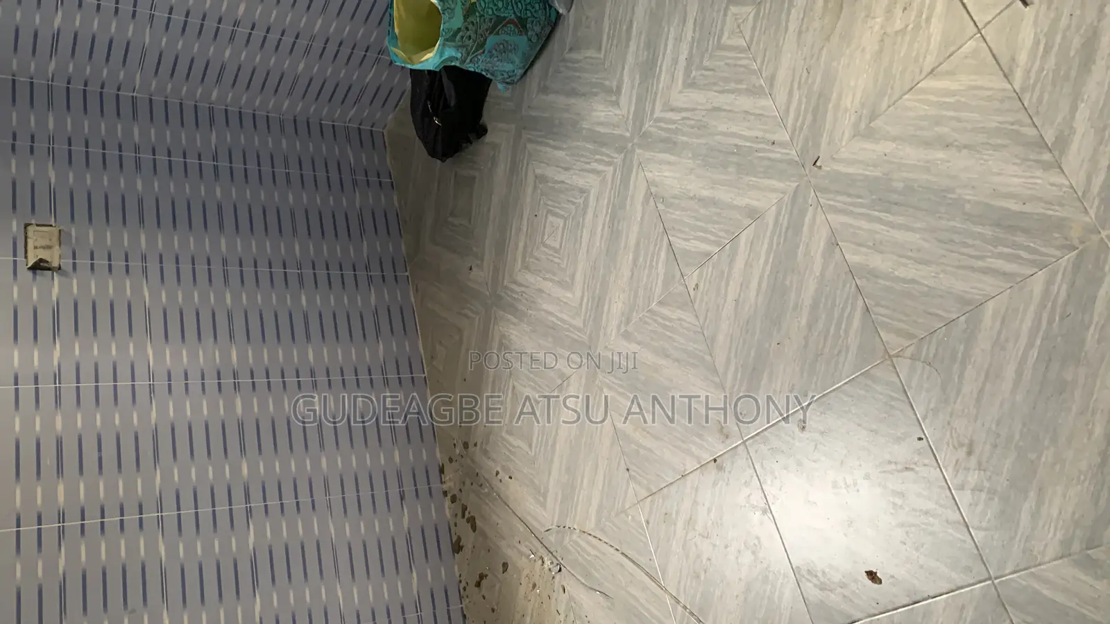 Professional Tiler
