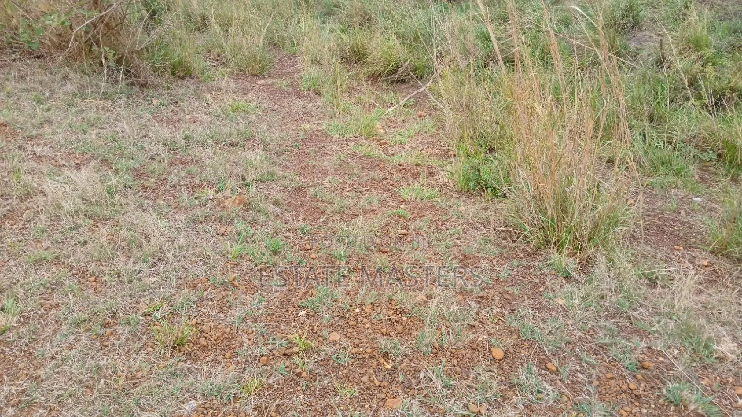 Leading Estate Company Land for Sale