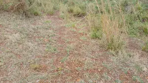 Leading Estate Company Land for Sale