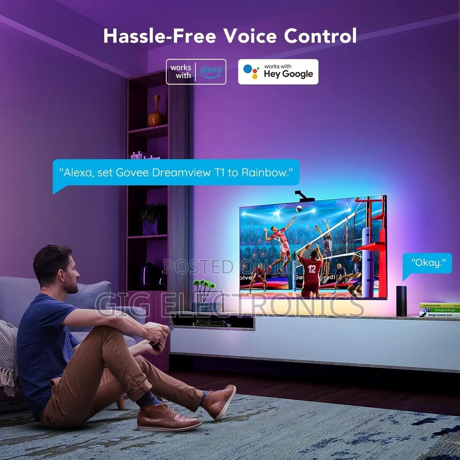 Govee Immersion TV Strip Lights Suitable for (75-85 Inch )