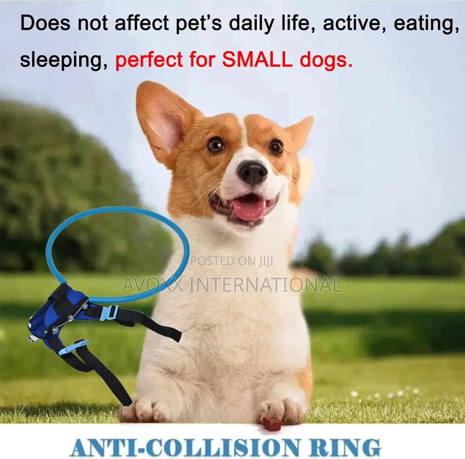 Pet Anti-Collision Ring Pet Safe Halo Harness for Blind Dogs