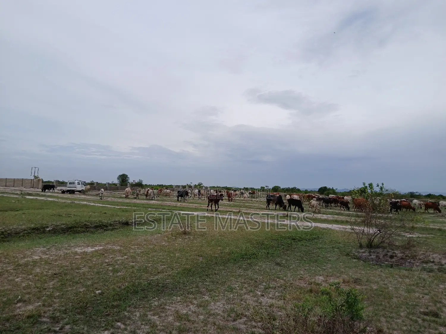 Settle on Registered Land in a Gated Community
