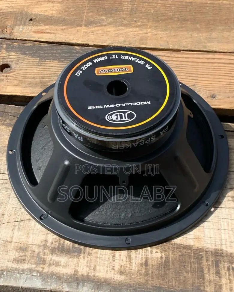 JLD-Pw1012 Pa 12" 65mm 500z 8ohmn Naked Speaker (Line Array)