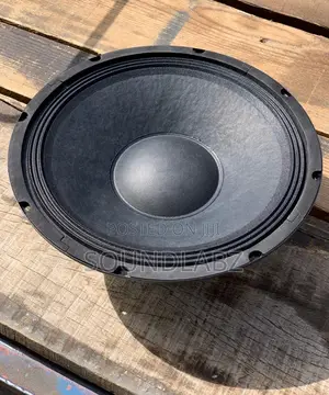 JLD-Pw1012 Pa 12" 65mm 500z 8ohmn Naked Speaker (Line Array)