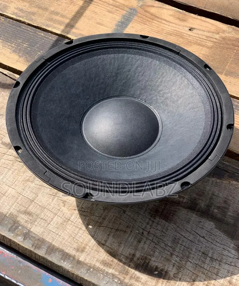JLD-Pw1012 Pa 12" 65mm 500z 8ohmn Naked Speaker (Line Array)